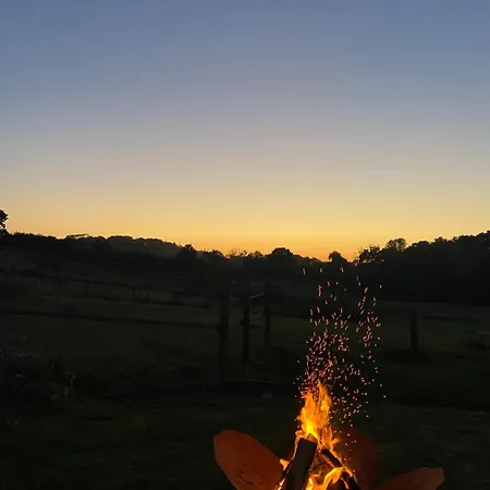 Mit Garten Appartement