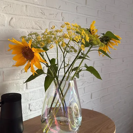 Mit Garten Appartement