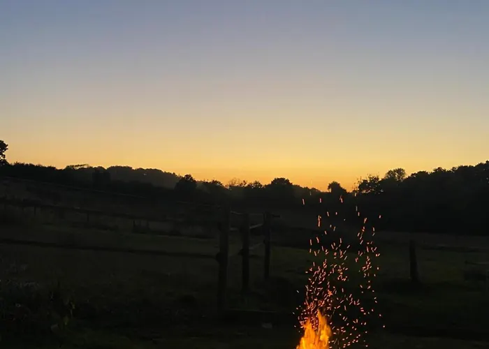 Mit Garten Appartement