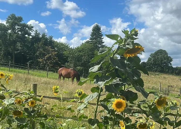 Mit Garten Appartement