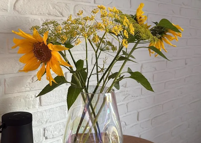 Mit Garten Appartement